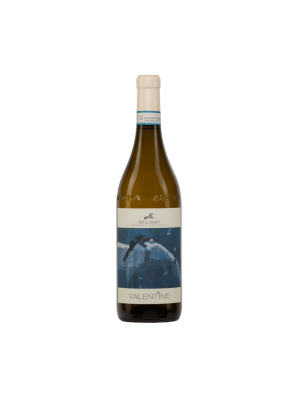 VALENTINE Langhe DOC Chardonnay 2024