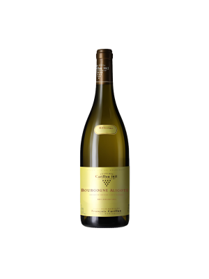 BOURGOGNE ALIGOTÉ 2023