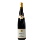 CLASSIC - PINOT NOIR Alsace Aoc 2023