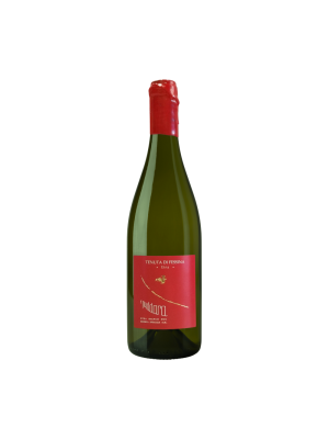 A' PUDDARA RISERVA S.M. Etna Bianco DOC 2021 ***esaurito***