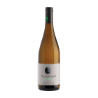 POUILLY FUME' Terres MCMLV 2021